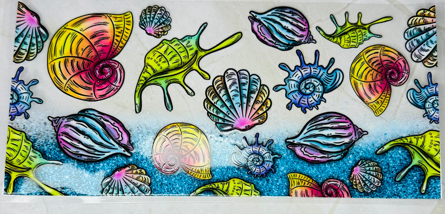 Sea Shells
