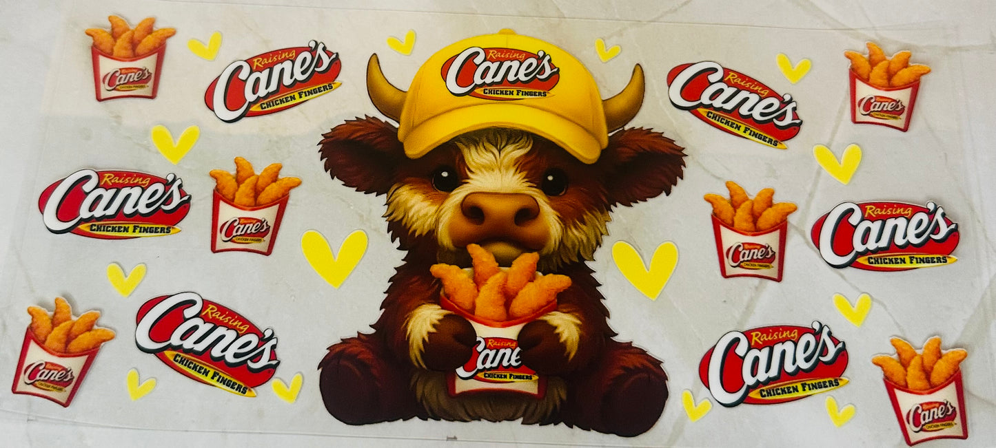 Canes Highland Cow