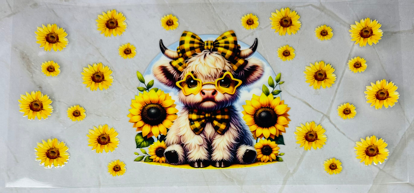 Highland Cow 02