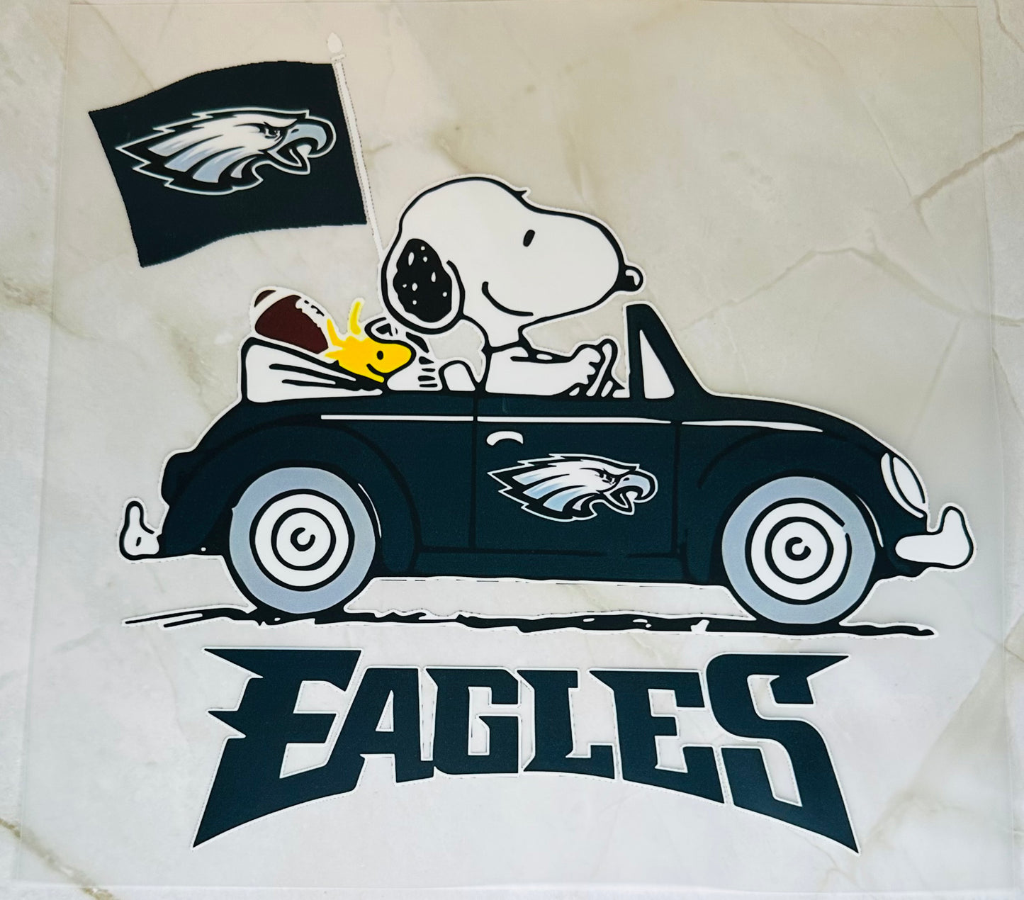 Eagles 09