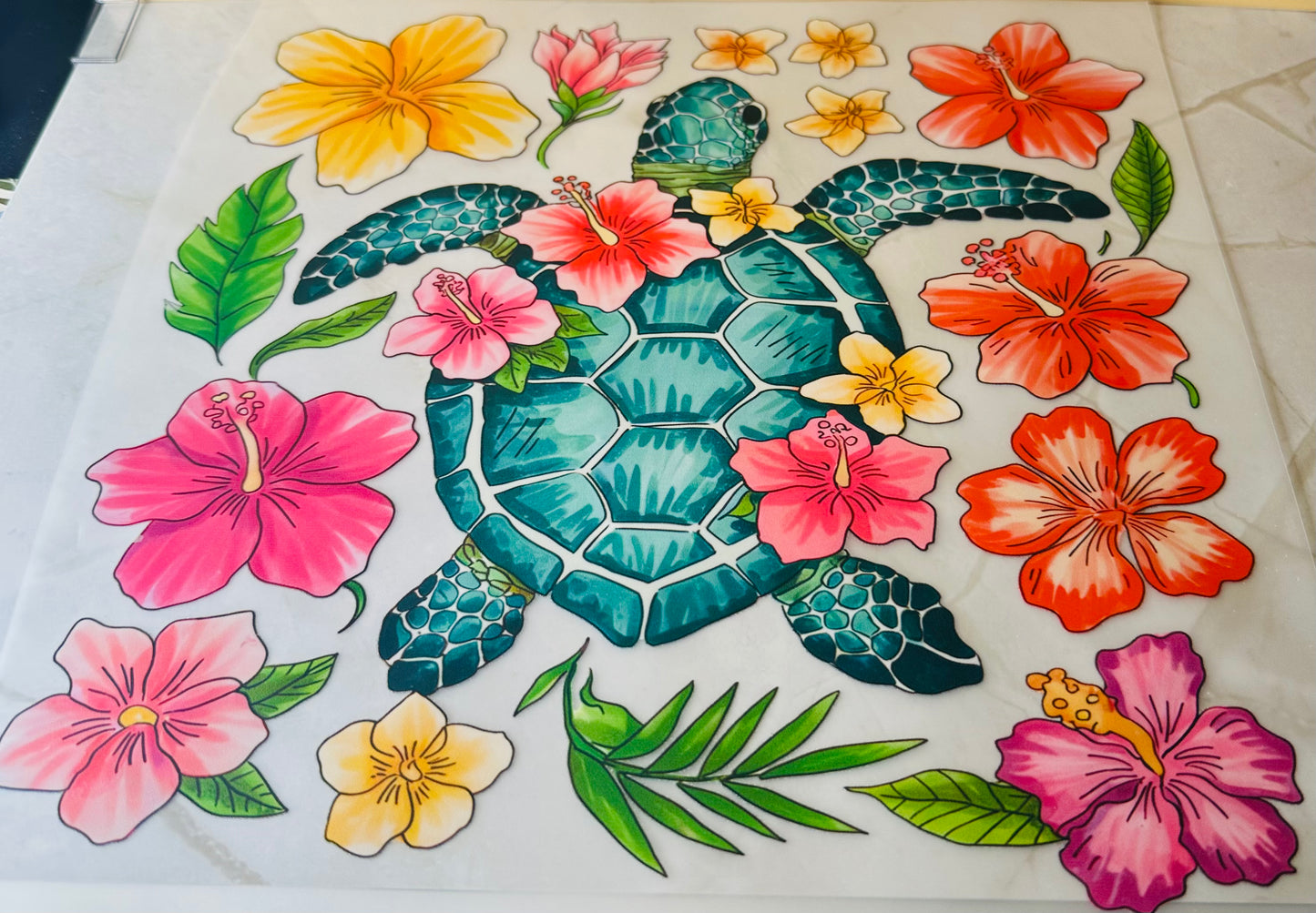 Sea Turtle