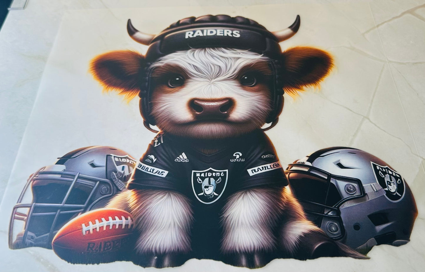 Raiders 06