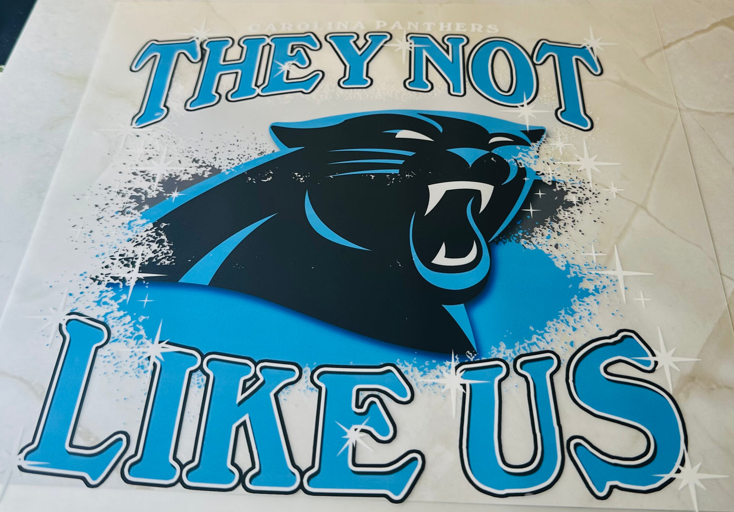 Panthers 01