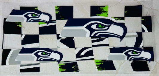 Seahawks 01