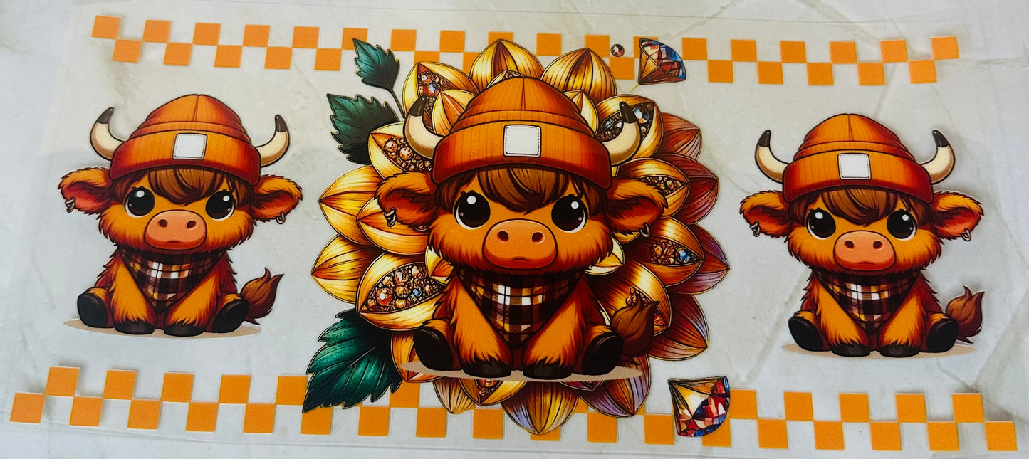 Highland Cow 05