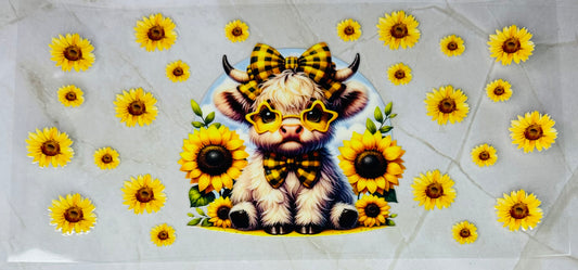 Highland Cow 02