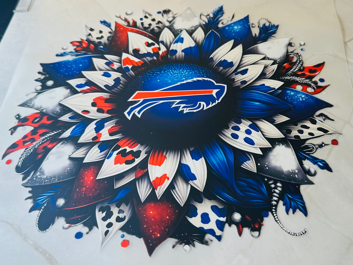 Bills 13