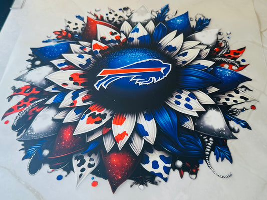 Bills 13
