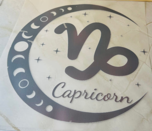 Capricorn 02